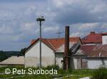 Hnízdo čápa bílého v Bělotíně
